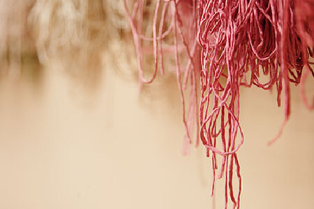 headPic