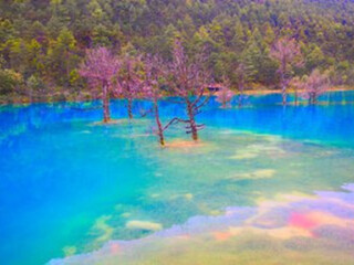 近期麗江瀘沽湖游價(jià)格_麗江瀘沽湖高端品質(zhì)旅游團(tuán)_去麗江瀘沽湖旅游多少錢