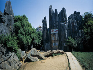 从东莞到西双版纳旅游_去西双版纳旅游的报价_西双版纳旅游几月份最好