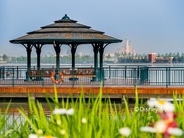 香港迪斯尼1月天气怎么样_香港迪斯尼穿衣指