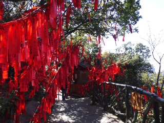 8月張家界旅游_張家界過春節(jié)旅行團_去張家界報團多少錢