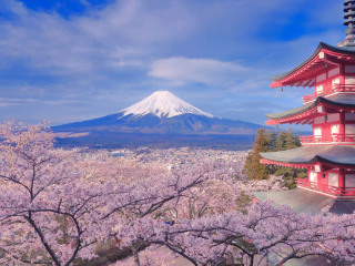 日本旅游大約多少錢_8月日本旅游_日本自由行還是跟團(tuán)好