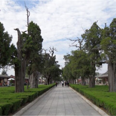 景点模块 