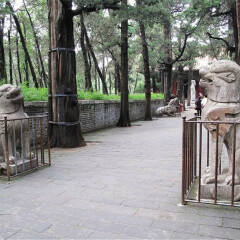 景点模块 