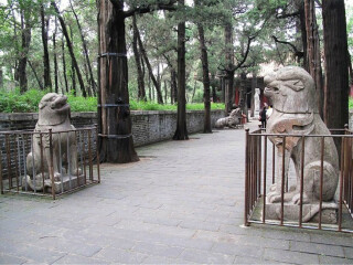 山东跟团旅游线路_旅游团山东旅游_旅游公司山东