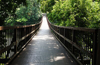 横渡浙西第一索桥