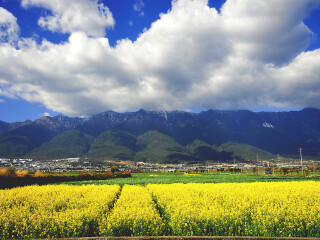 以往國(guó)慶云南玉龍雪山游價(jià)格_云南玉龍雪山八月份旅游_2021年云南玉龍雪山旅游團(tuán)報(bào)價(jià)