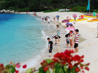 海南三亞跟團(tuán)游與自由行_海南三亞旅游要多少錢2021_海南三亞旅游多少錢一個(gè)人