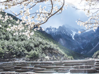 云南西雙版納游 旅行團_云南西雙版納半自由行_深圳特價云南西雙版納游