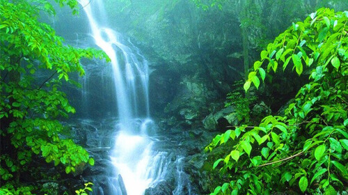 美国东海岸华盛顿-费城-田纳西4晚5日游 2人成