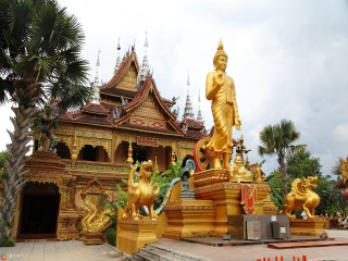 去西双版纳的旅游费用_去西双版纳旅游跟团去_西双版纳旅行游