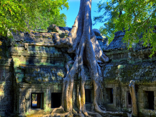去柬埔寨旅游要多少錢_到柬埔寨旅游_柬埔寨自由游價格多少