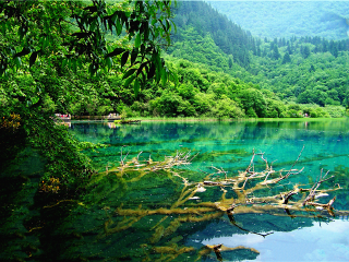 去九寨沟6日旅游_九寨沟跟团旅游观光_九寨沟旅游旅行团报价