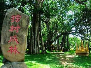 西双版纳十一旅游团_六月底去西双版纳旅游_旅游西双版纳团