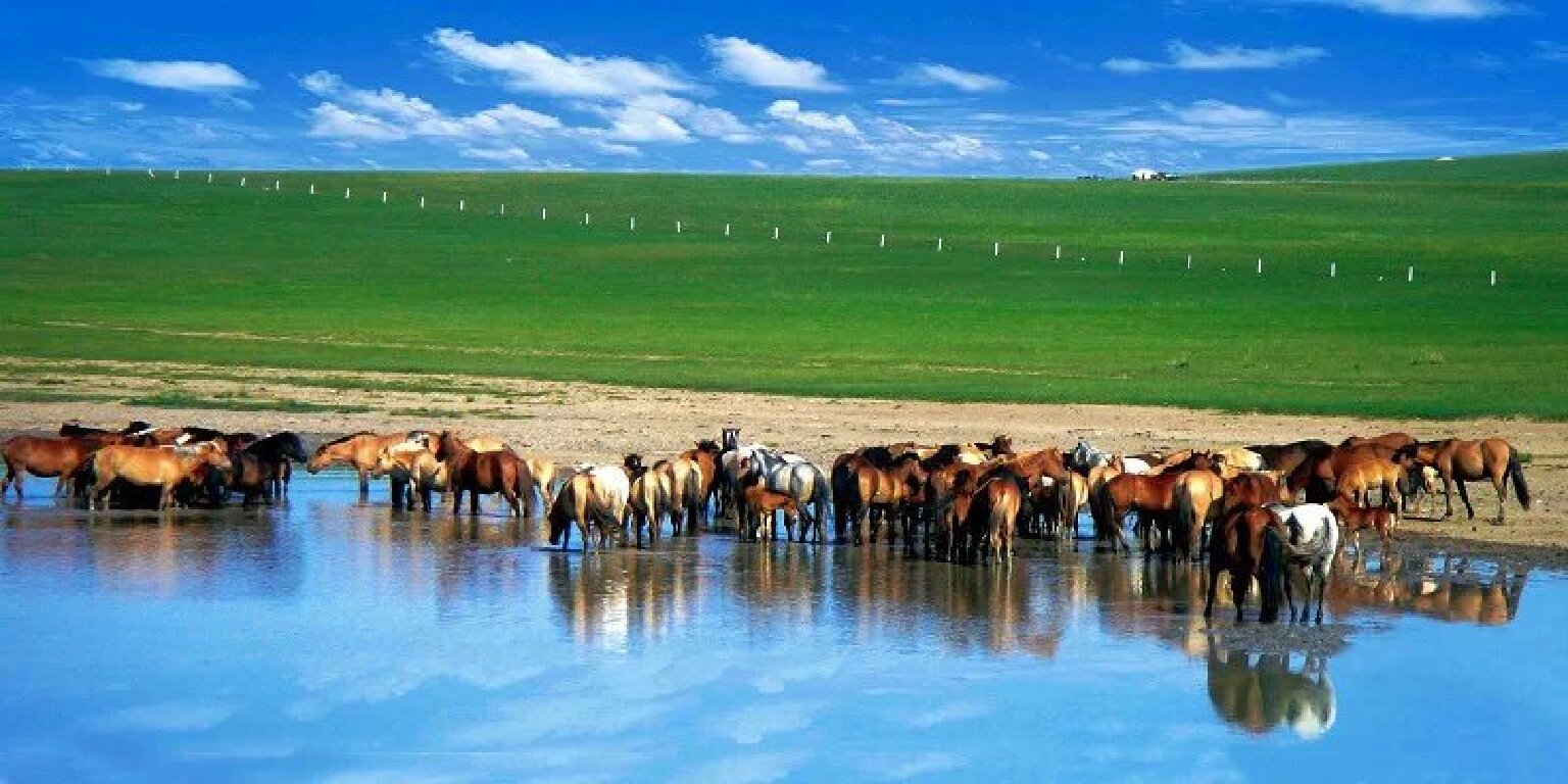 一路向北画中游(一)狼图腾的故乡乌拉盖