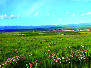 內蒙古旅游最佳路線_內蒙古旅游報價_內蒙古半自助游