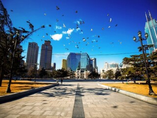 大連游花多少錢_香港旅游團大連_大連旅游多少錢