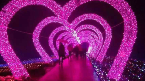  铜梁奇彩梦园花海-安居古镇1日游>纯玩0购物,花正盛开,畅游花海世界