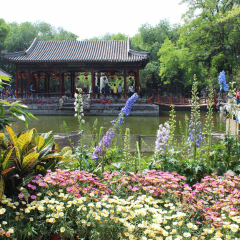 景点模块 