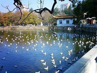 2021去云南麗江跟團(tuán)多少錢_云南麗江游價(jià)格_到云南麗江旅游
