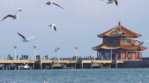 游览百年的历史见证,青岛标志性建筑,素有"长虹远引"之美誉的—栈桥