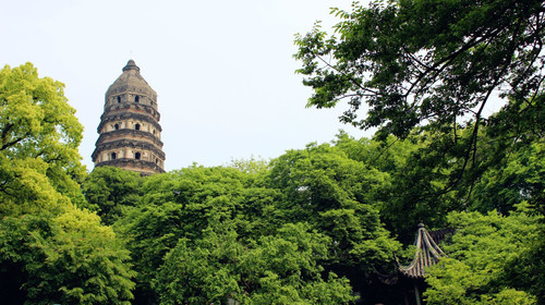  苏州狮子林-虎丘-寒山寺1日游>无购物,含姑苏水上游游船