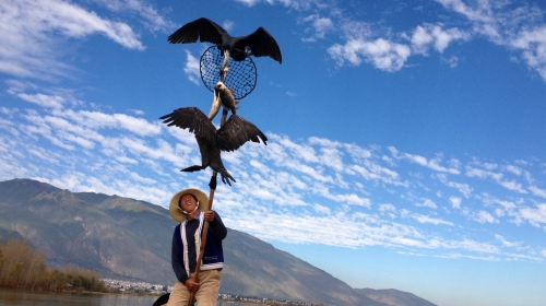 云南-版纳-昆大丽四飞8日游 正点航班,行程透明