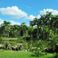 景点模块 