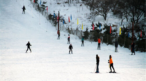泰山-温泉城-徂徕山滑雪高铁3日游 住宿商务酒