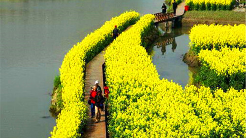  云居山祈福 凤凰山赏桃花 踏青赏油菜花一日游>世界那么大,带着好