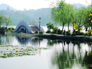 西湖乡人口_浮梁县西湖乡西溪村(2)