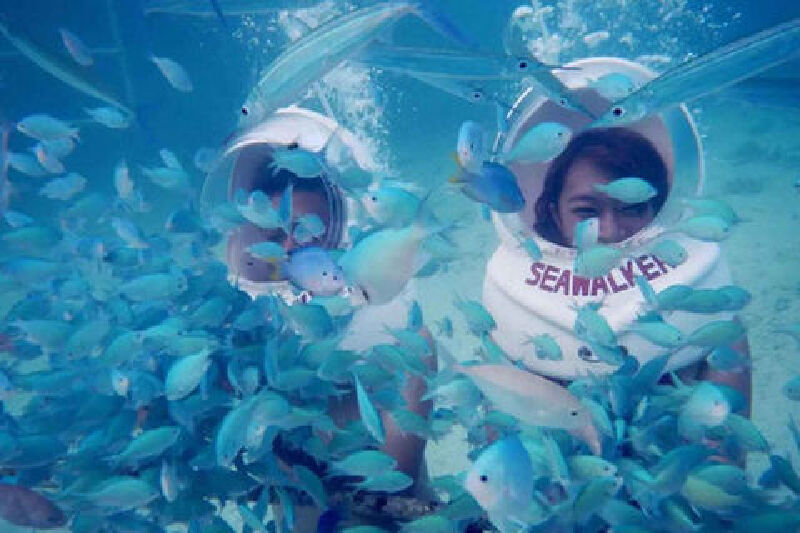 仅售3809元起!享价值9291元的长滩岛5晚6日游