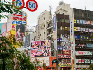 日本游跟团费用_去日本跟团游价格_去日本旅游团报价