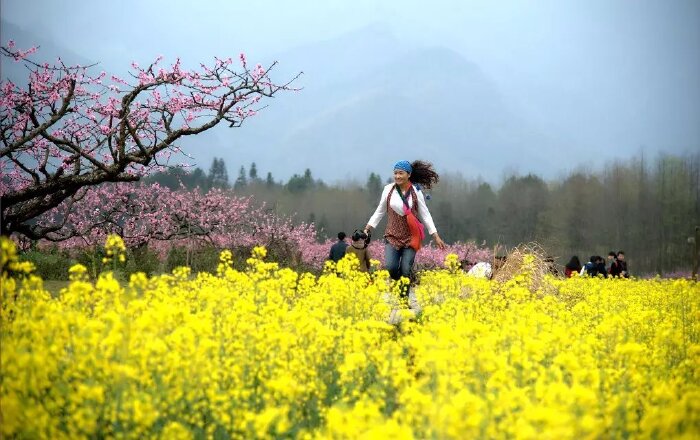 春天桃花与油菜花图片,桃花油菜花图片,春天油菜花图片_大山谷图库