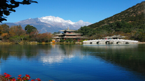 奶泡的制作 如何萃取咖啡 家庭手工拉花咖啡 实战课:动物拉花咖啡25款