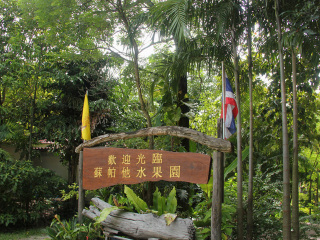 普吉岛十日游多少钱报团_跟团普吉岛旅行_去普吉岛旅游团价格