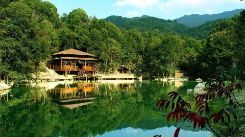 [清明] 河源万绿谷特惠2日游>赏油菜花