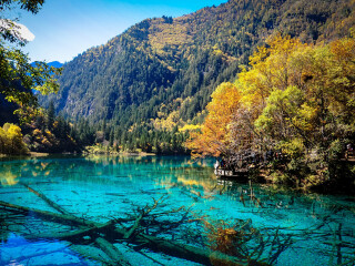 去九寨沟6日旅游_九寨沟跟团旅游观光_九寨沟旅游旅行团报价