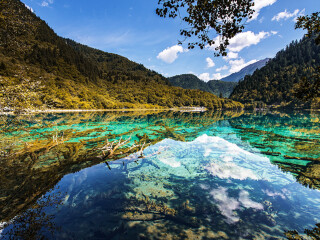 去九寨沟6日旅游_九寨沟跟团旅游观光_九寨沟旅游旅行团报价