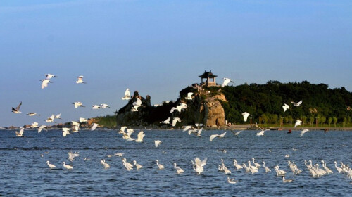 <秦皇岛-乐岛海洋王国-渔岛海洋温泉-鸽子窝双卧5日游