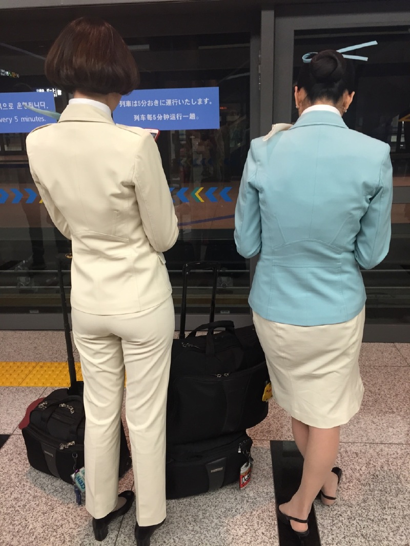 韩国空姐