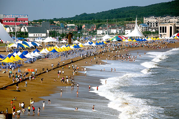 从大连自然博物馆到西中岛市内交通_从大连自