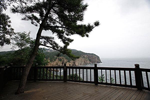 从大连自然博物馆到獐子岛公车线路_从大连自