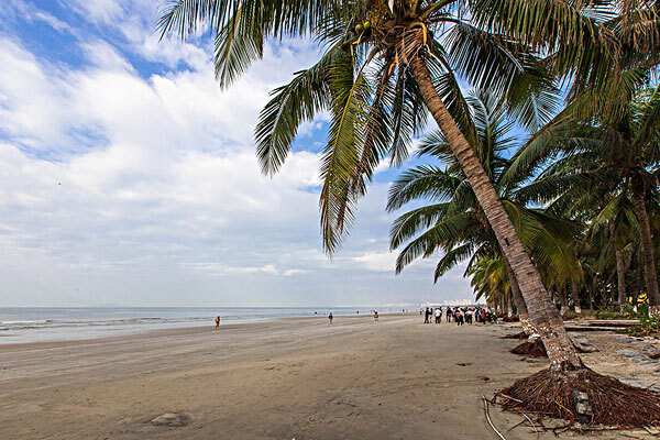 从槟榔谷到三亚湾中心广场公车线路_从槟榔谷