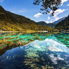 景点模块 