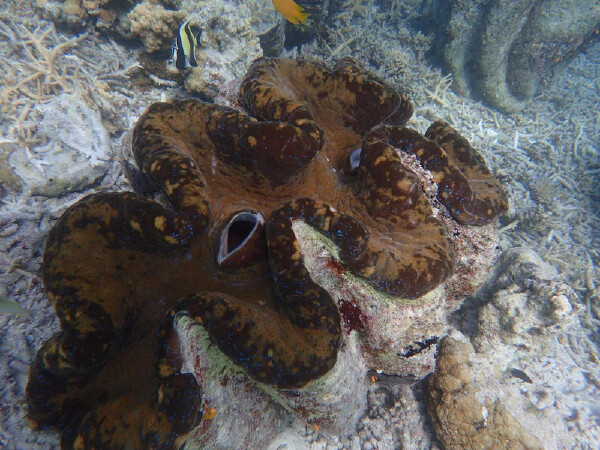 珠海海洋王国门票团购_珠海门票价格_珠海门