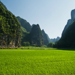 景点模块 