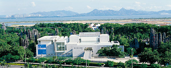 picture