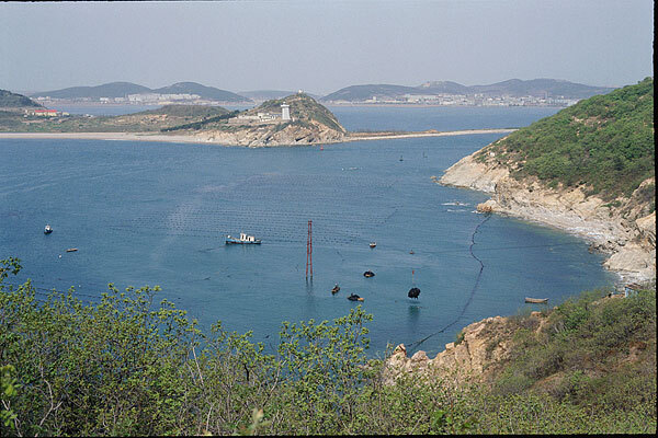 从海王九岛到大连自然博物馆有多远_从海王九