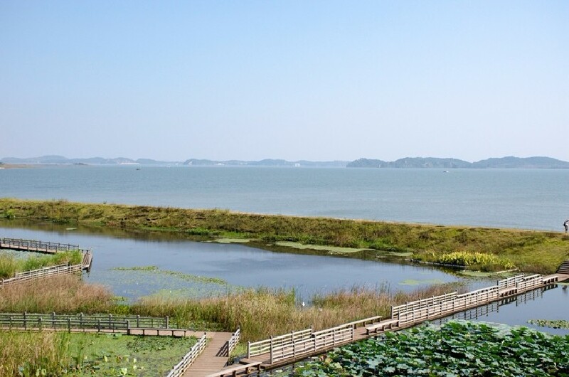 【周边游】鄱阳湖一日游